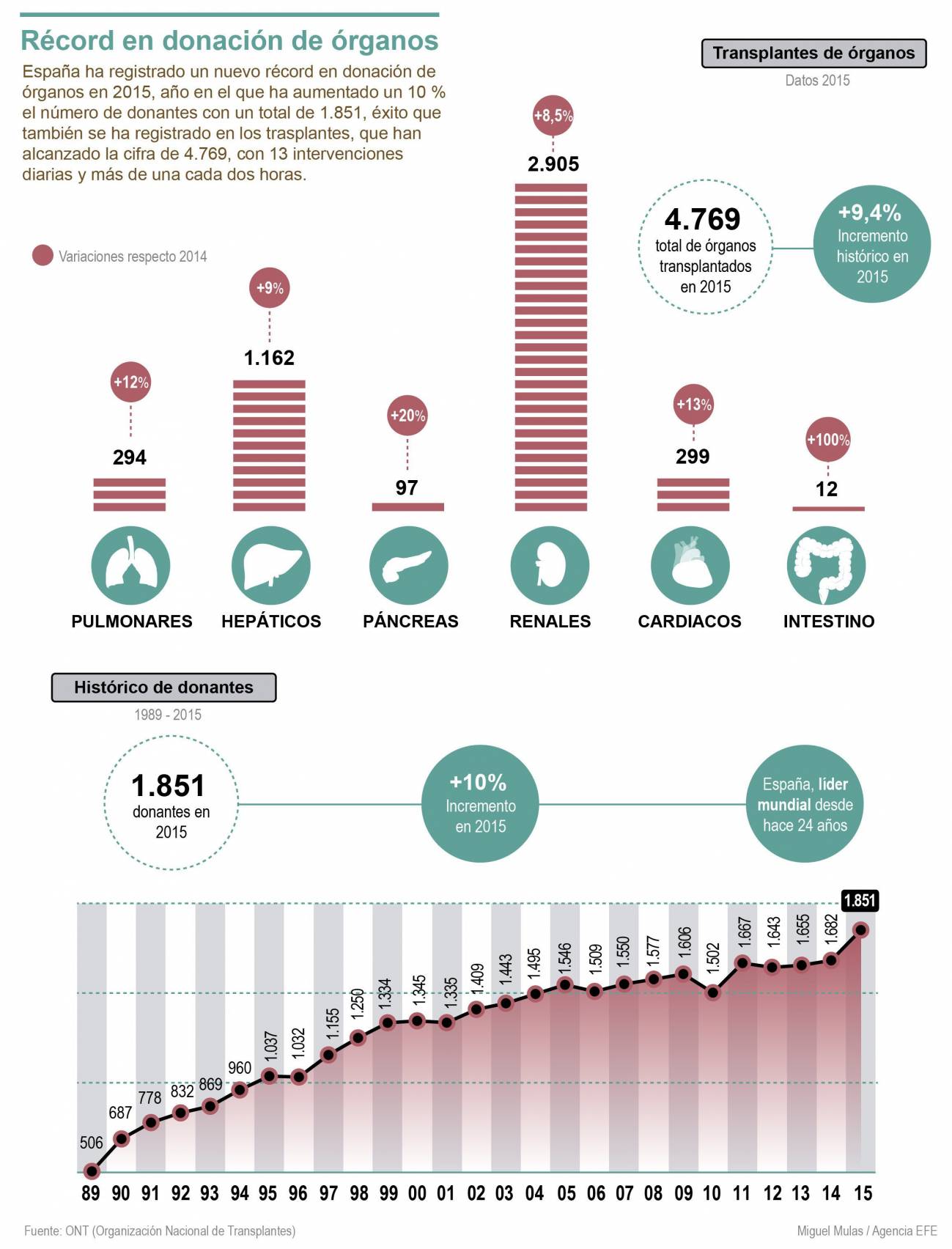 Infografía resumen de la donación de órganos en España. / Efe