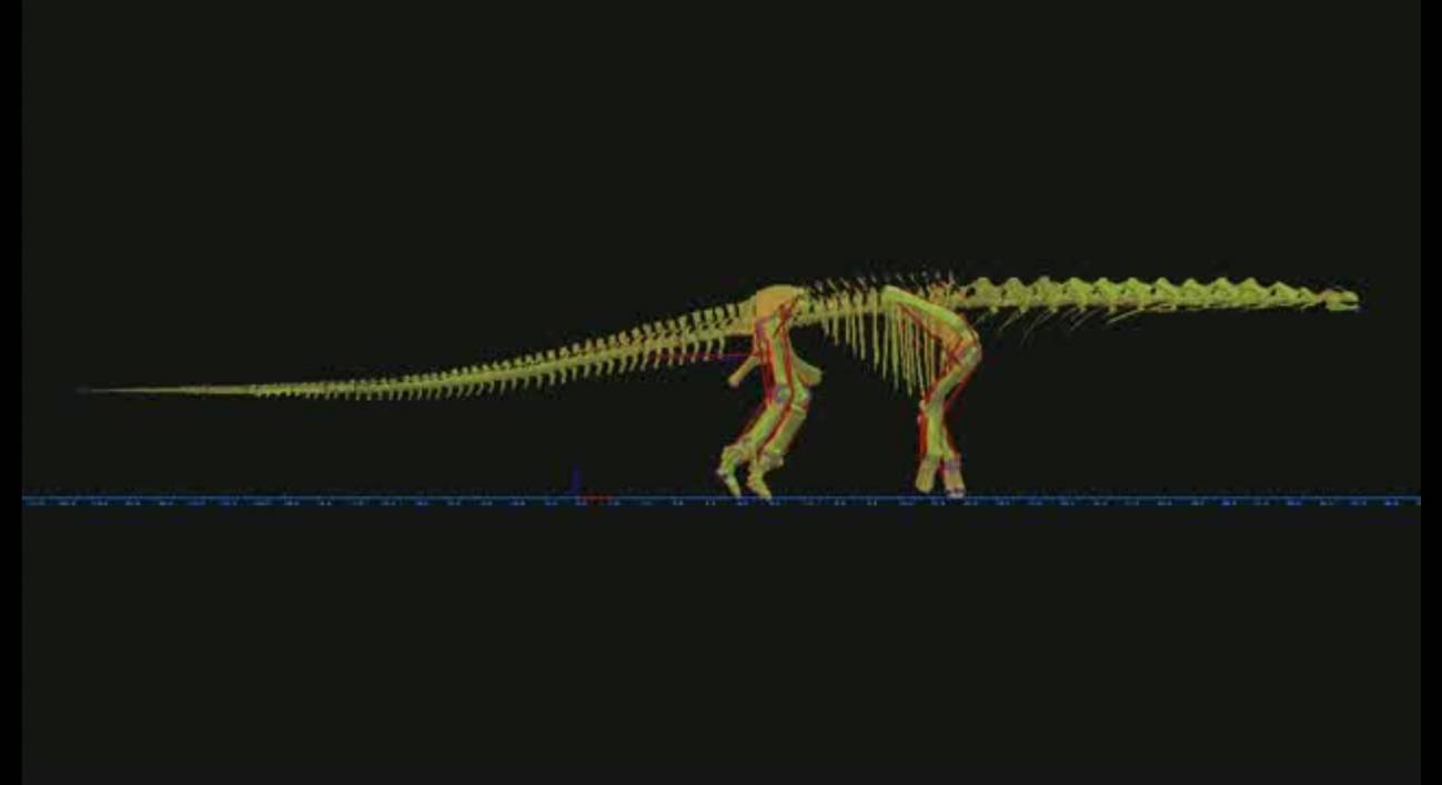 Así caminaba el mayor dinosaurio conocido 