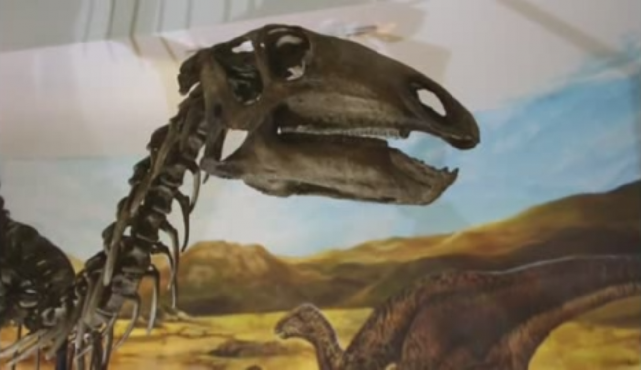 Descubren un nuevo dinosaurio en Tailandia