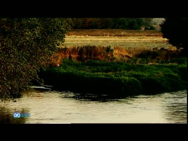 Detectan 88 contaminantes en los ríos de Madrid