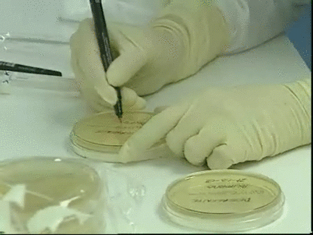 El Hospital Greogrio Marañón alberga el único laboratorio público acreditado para regenerar tejido celular
