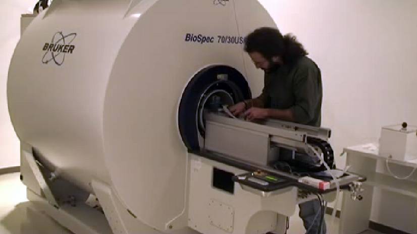 El Instituto de Neurociencias invierte 1,8 millones en un aparato para conocer el cerebro