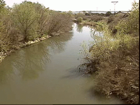 El río Jarama presenta un deterioro preocupante