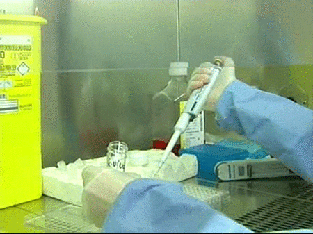 España contará en 2012 con una fábrica de vacunas para todo tipo de gripes
