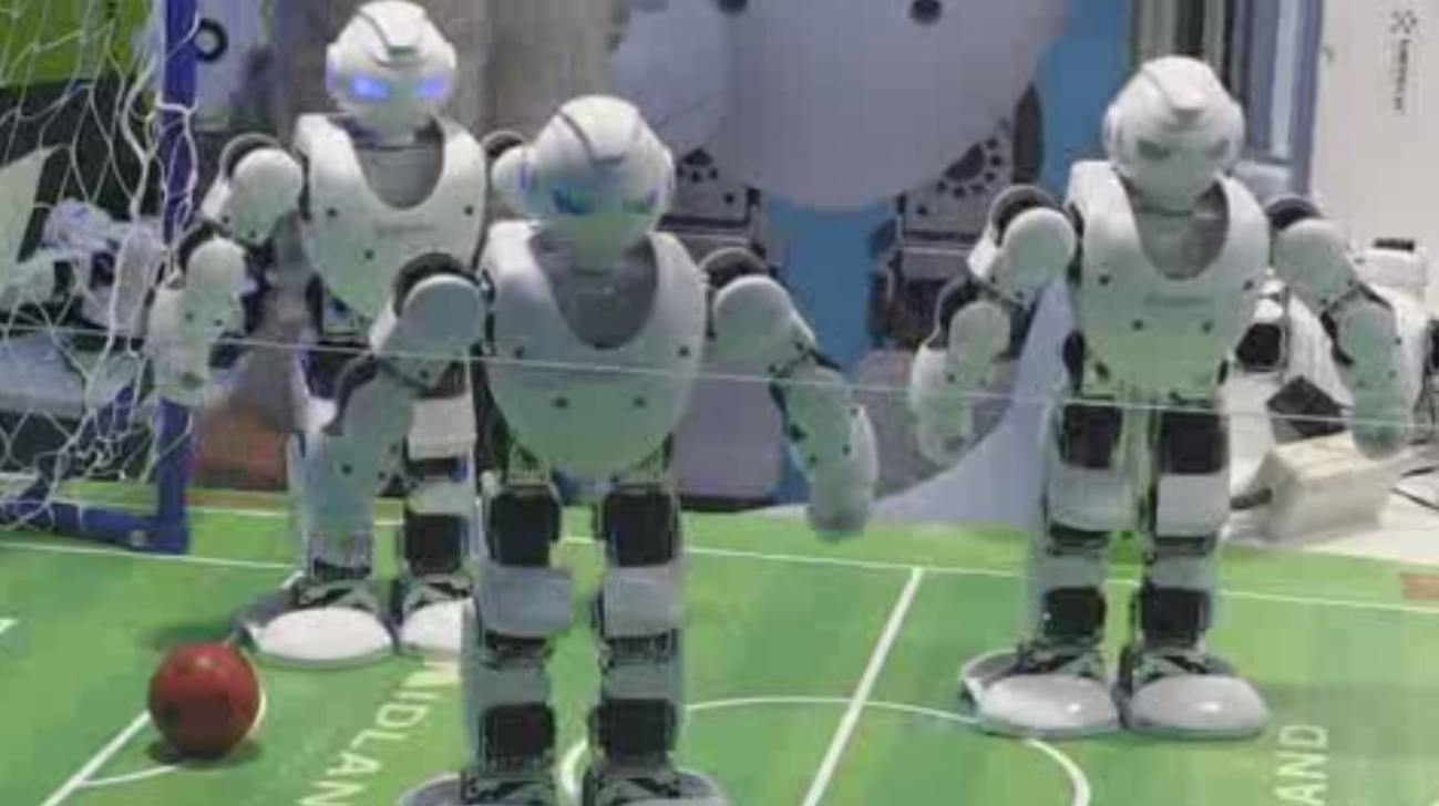España quiere ser un referente internacional en robótica