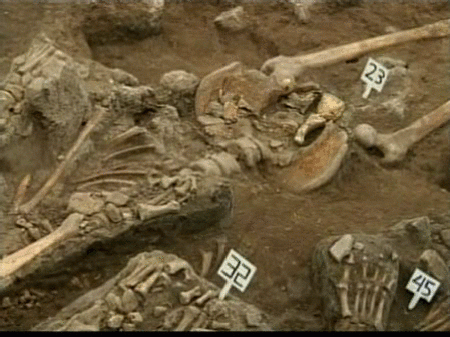 Identifican 50 esqueletos indígenas en el el mayor complejo funerario de México DF
