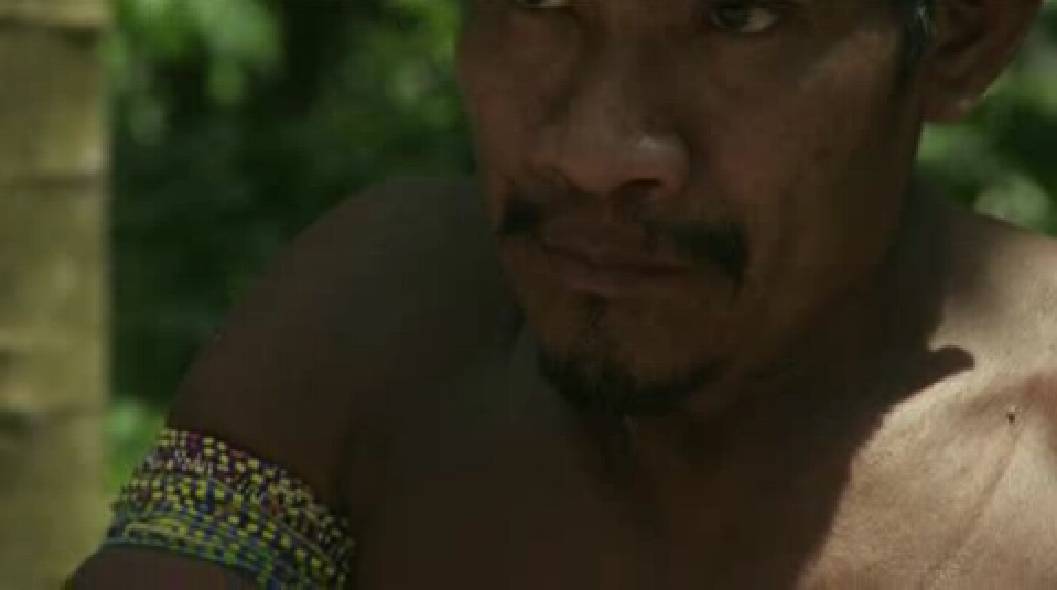 Survival International denuncia el acoso a la tribu más amenazada del planeta 