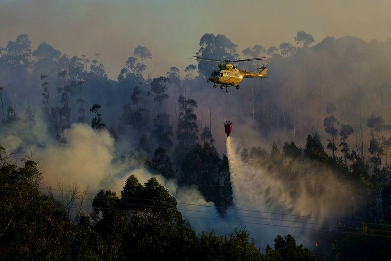 Los incendios constituyen una amenaza global para la conservación de los ecosistemas forestales 