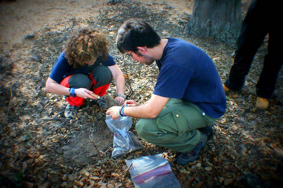 Investigadores regiendo muestras de suelo
