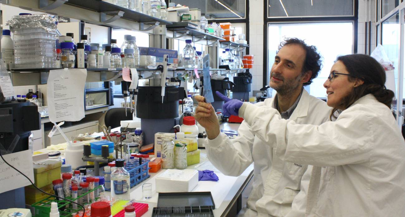 Los investigadores Carlos Saura y Lilian Enríquez en su laboratorio. (Autores: Arnaldo Parra i Carlos Saura)