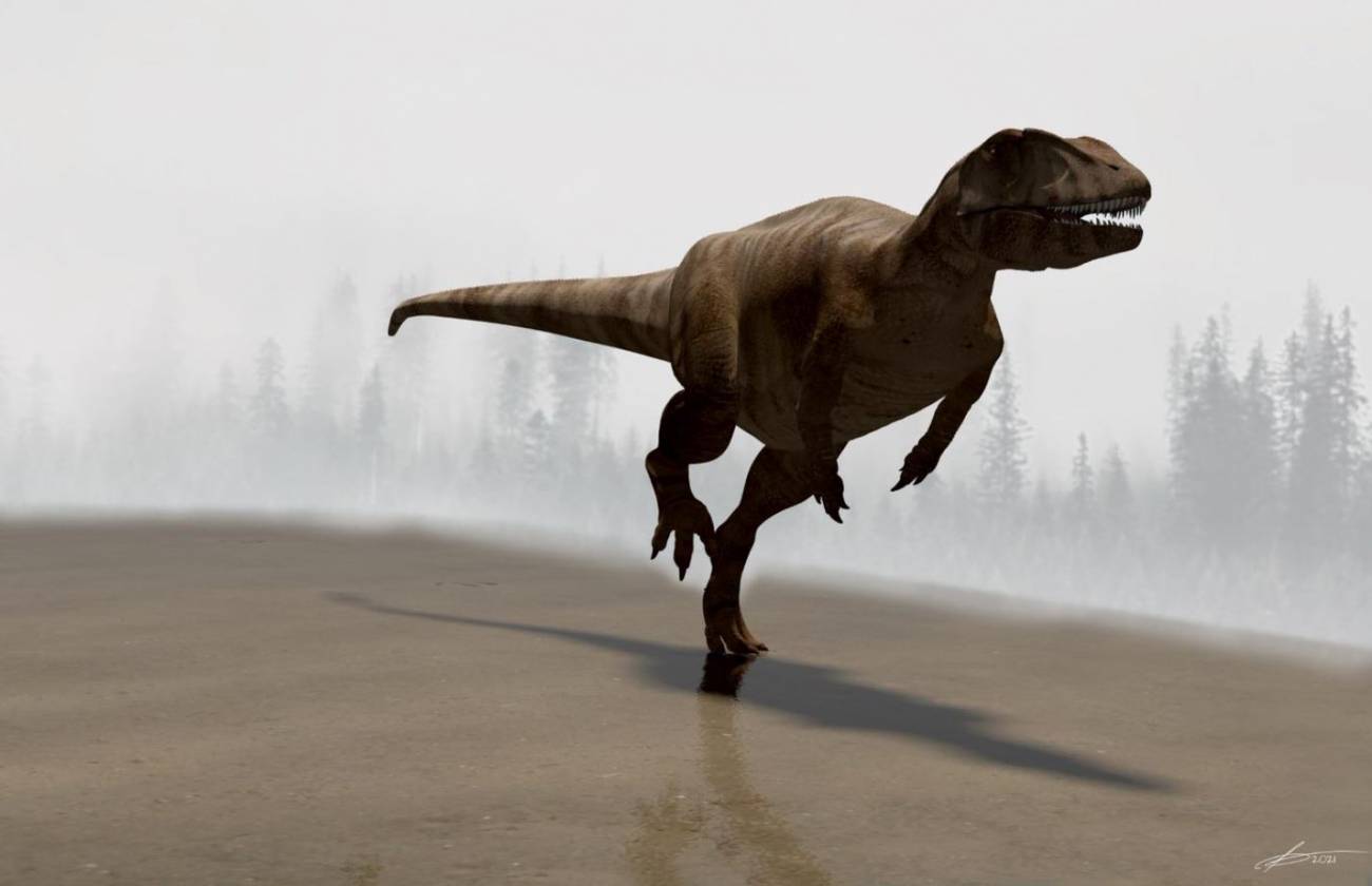 Algunos de los dinosaurios más veloces del mundo habitaban en La Rioja