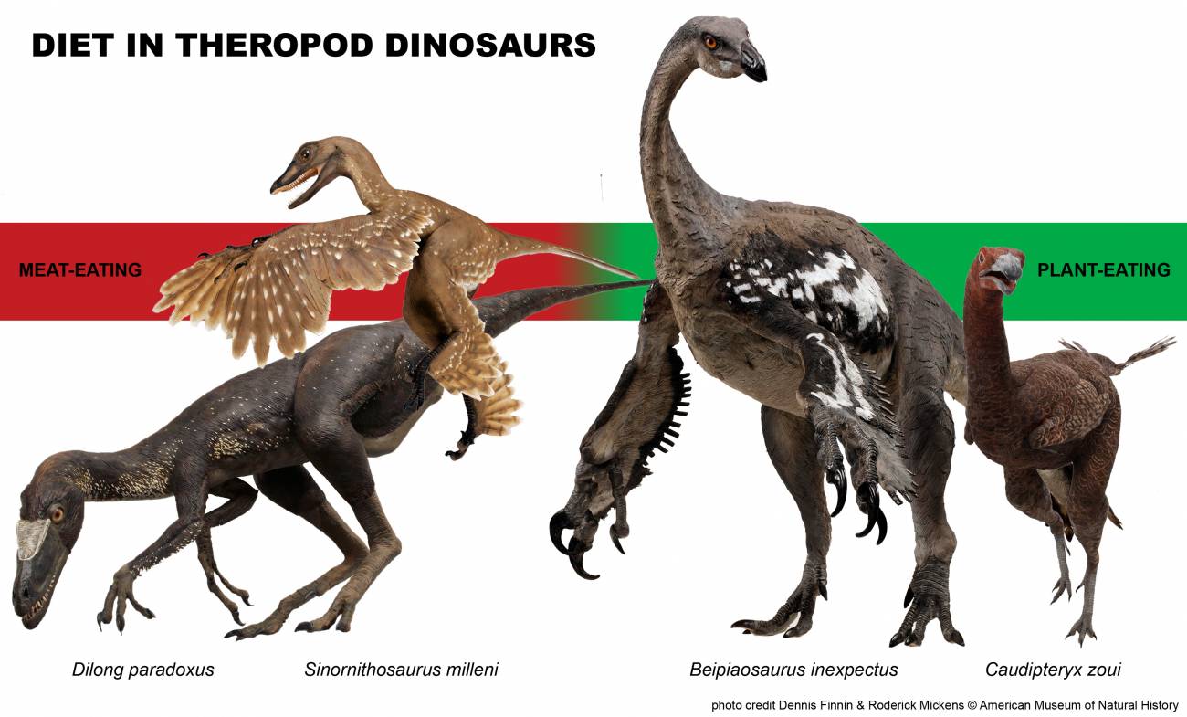 Algunos dinosaurios no eran tan carnívoros como se pensaba