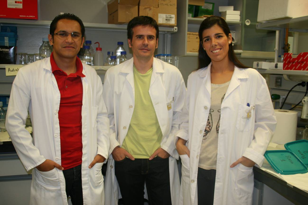 Los autores del estudio Andrés Cruz, Pablo Huertas y Ana López en su laboratorio de trabajo en el CABIMER