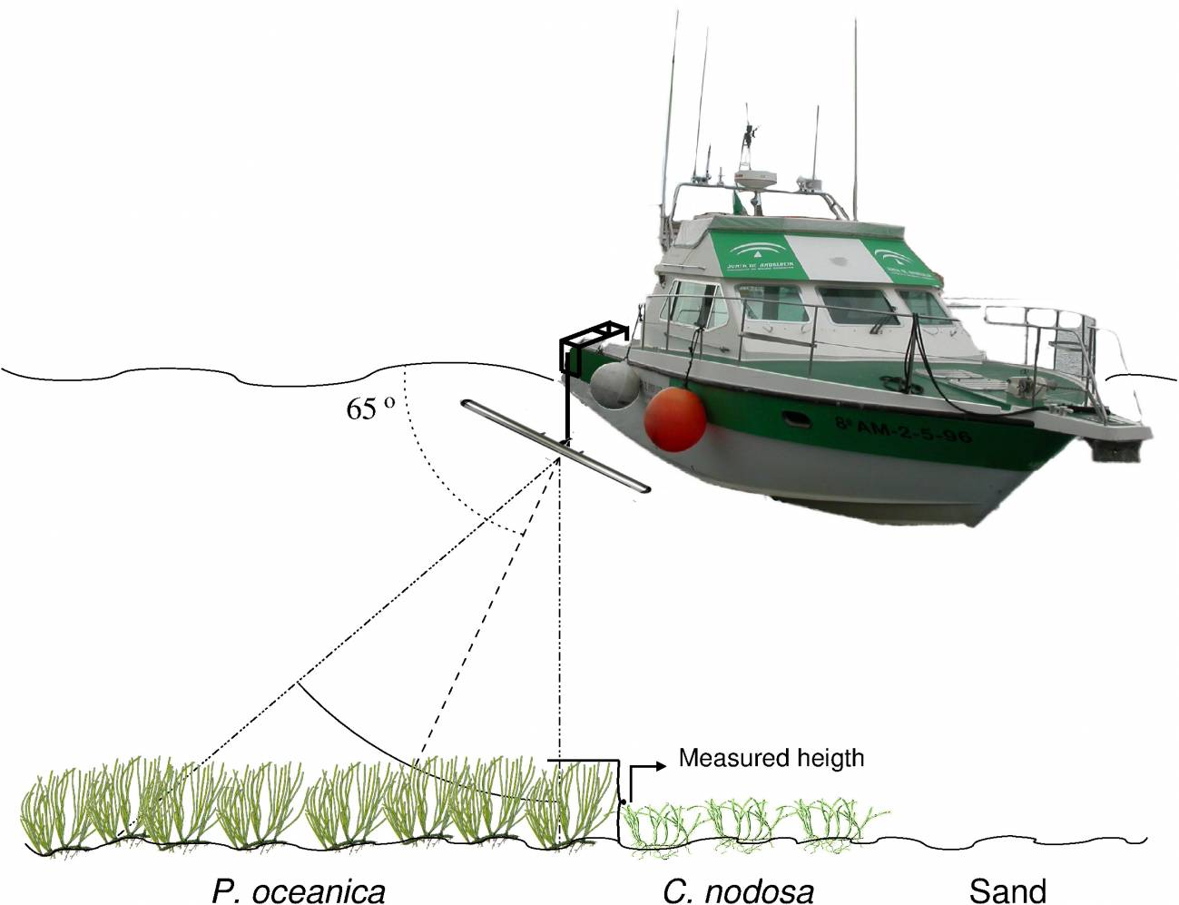 Ilustración de cómo funciona el sónar instalado en la embarcación