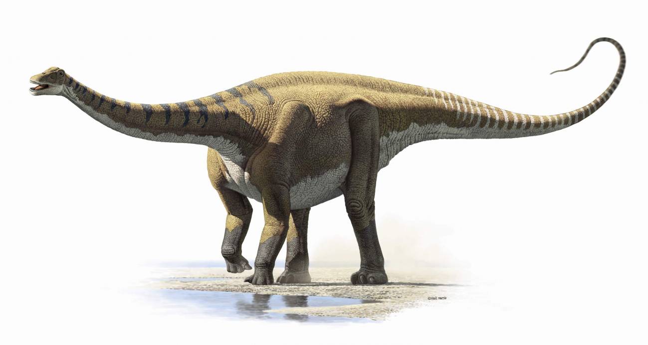 Recreación de 'Demandasaurus darwini'
