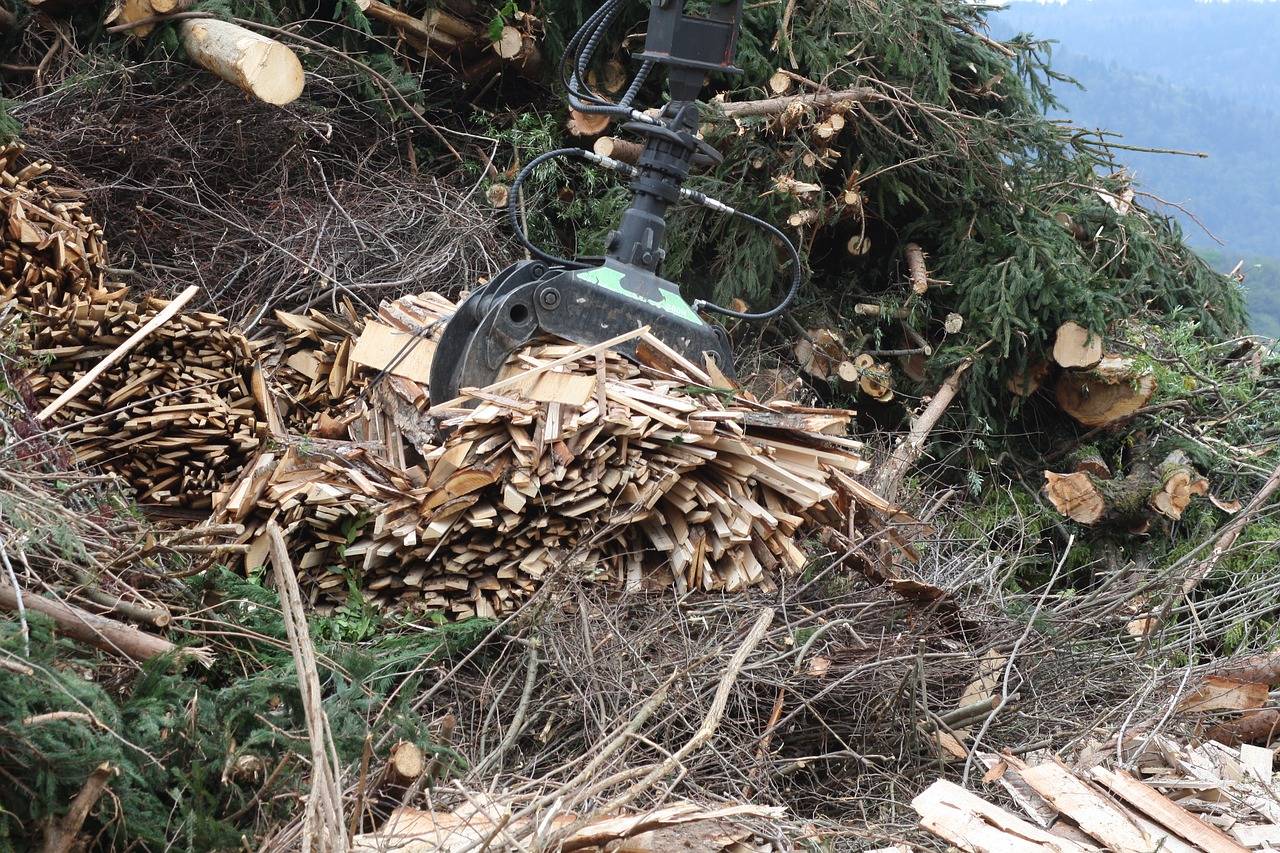 La materia orgánica utilizada para biomasa se encuentra muy dispersa geográficamente. 