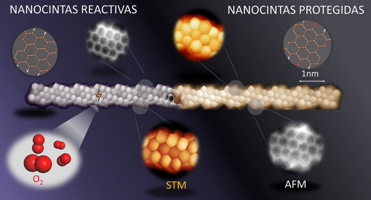 Nanocinta de grafeno reactiva y protegida del ataque de la atmósfera