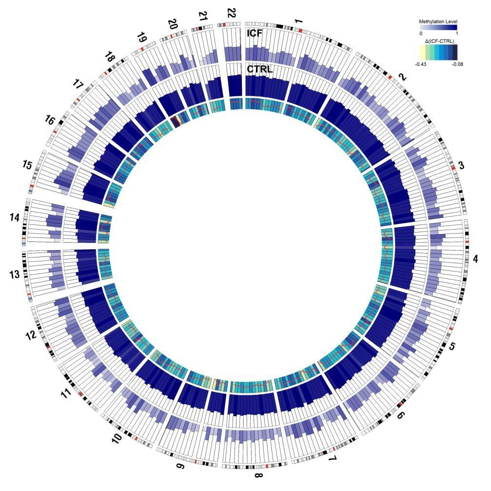 representación gráfica de los dos epigenomas identificados