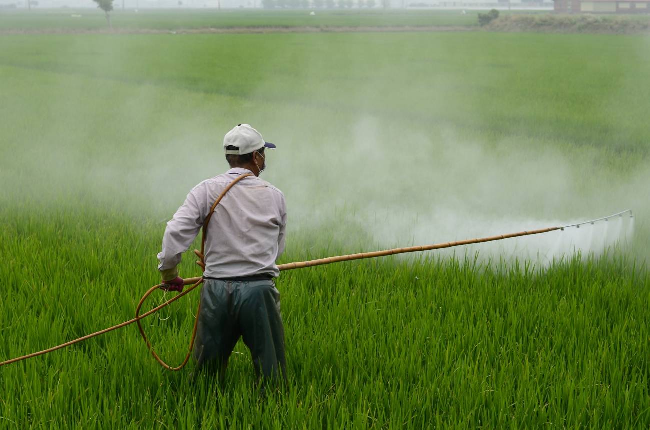 Un hombre aplica un herbicida