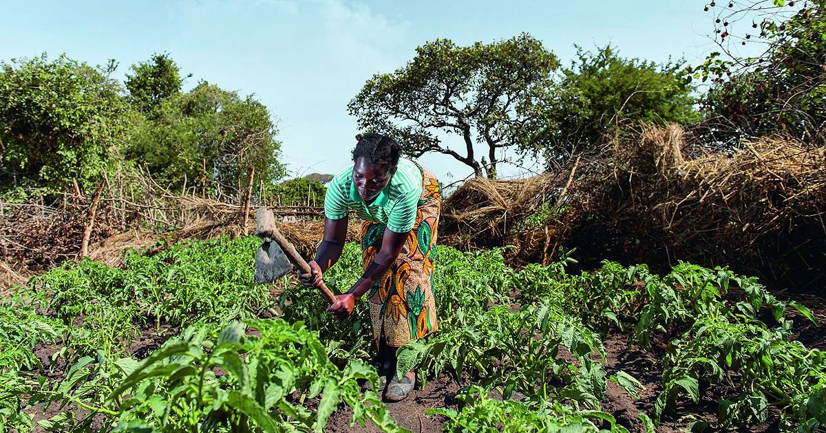 Mujer africana realizando tareas agrícolas.