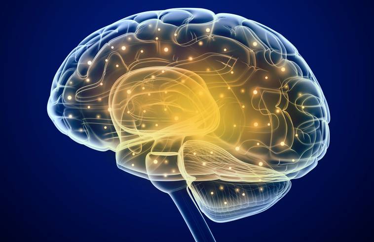 Trabajos recientes habían demostrado la comunicación entre un cerebro humano y un ratón; pero la tecnología todavía no había logrado el reto de poner en contacto dos cerebros humanos.