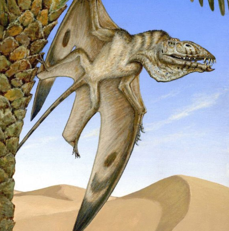 Descubierto un raro pterosaurio triásico en Utah