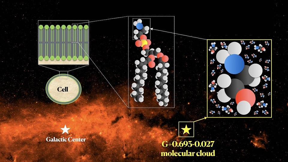 Descubren etanolamina en el espacio, una molécula clave en el origen de la vida