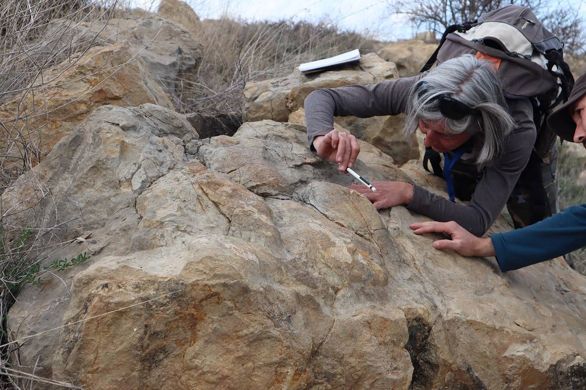 Descubren nuevas y gigantescas pisadas de dinosaurio en Teruel