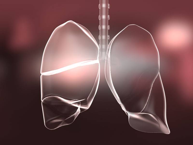 La insuficiencia respiratoria es común en los pacientes críticos y se estima que, alrededor de un tercio, fallece a consecuencia de esta enfermedad