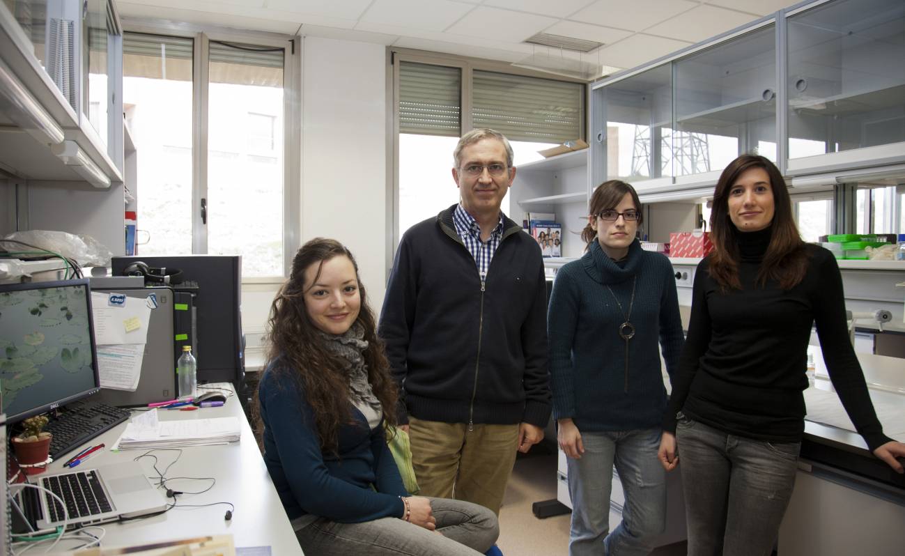 El Centro de Investigación del Cáncer de Salamanca publica un trabajo que servirá para entender el papel de las proteínas en las células humanas