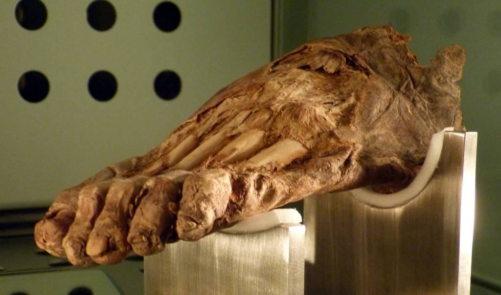 Mummified human foot from Hoya Brunco, La Guancha, Tenerife  - Wolfgang Sauber