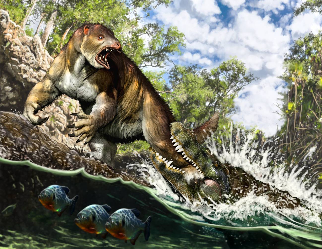 El caimán devoró al perezoso: cómo un fósil olvidado resolvió un 'crimen'  de hace 13 millones de años