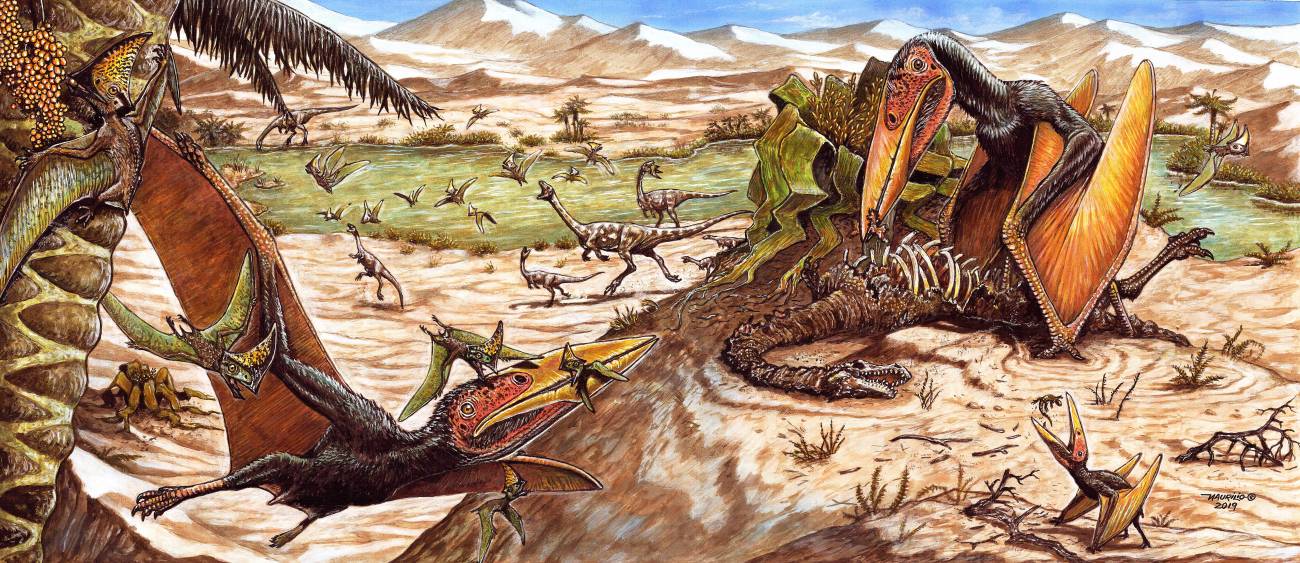 El espíritu de la muerte', una nueva especie de pterosaurio de Brasil