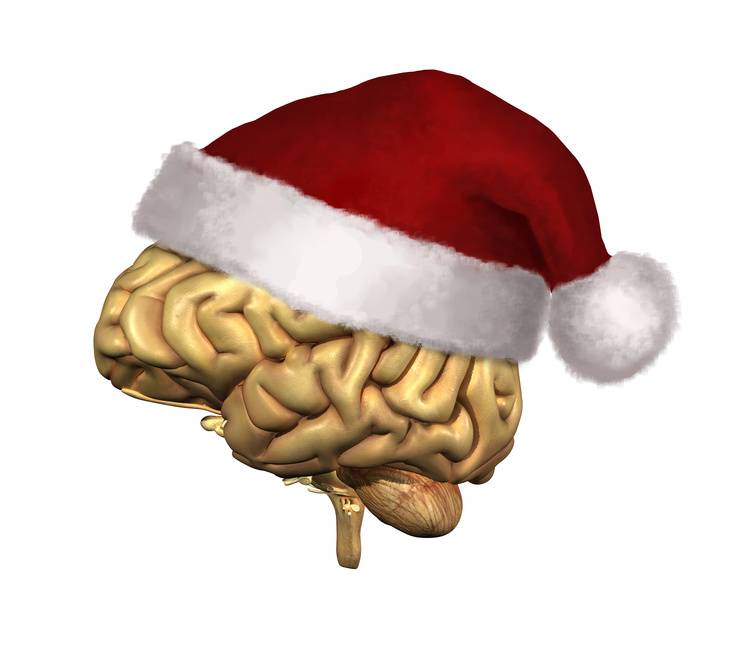 Cerebro con un gorro de Navidad