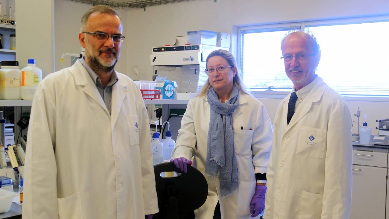 El doctor Fèlix Grases, a la derecha, junto a investigadores del Laboratorio de Investigación en Litiasis Renal y Biomineralización de la UIB. Foto: UIB