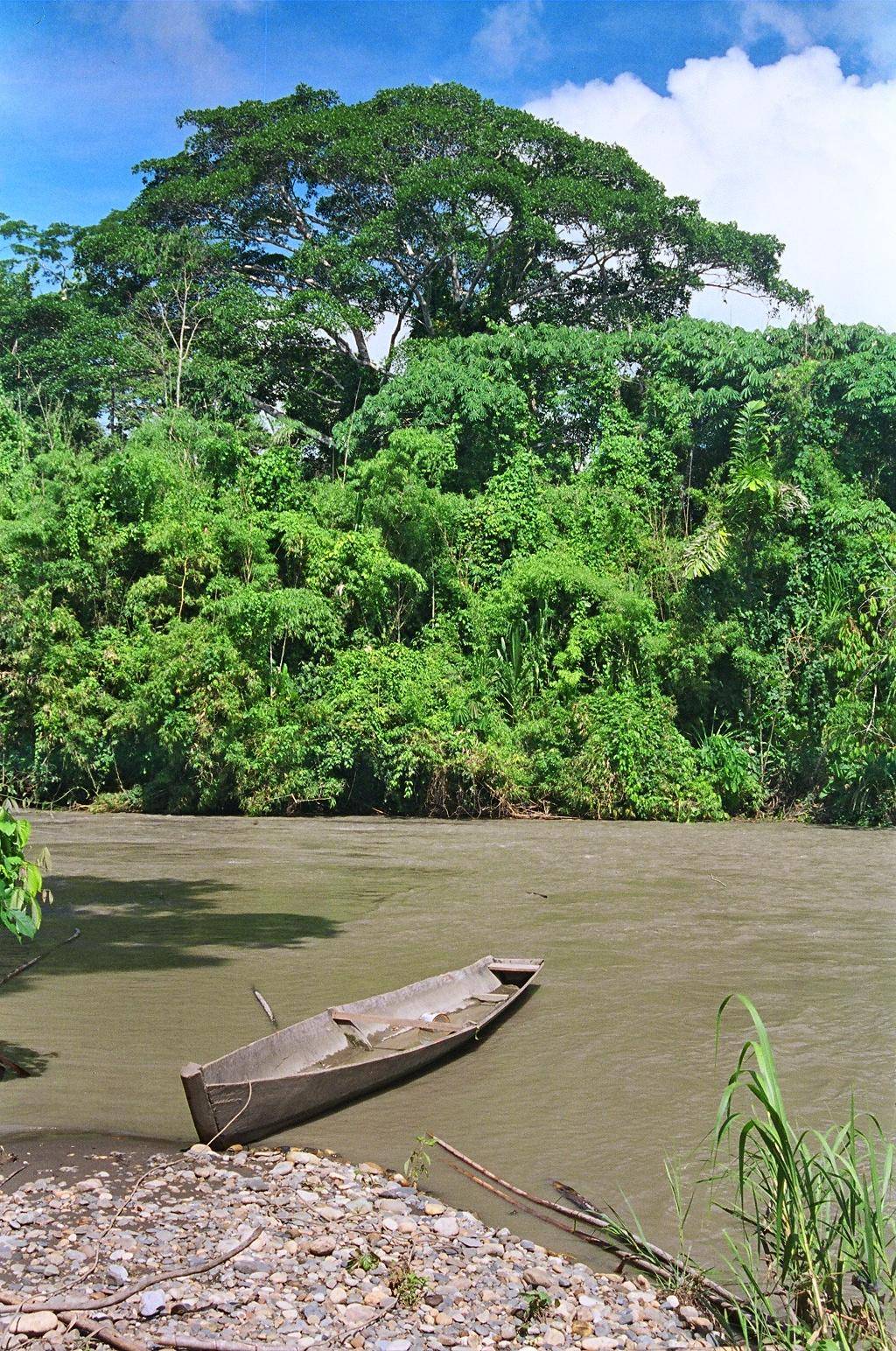 Finca Bonanza, en el Amazonas. Imagen: Salvador Salvador