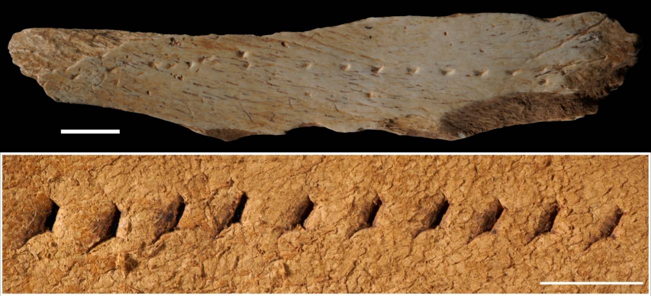 Tabla de perforación de cuero encontrada en Terrasses de la Riera dels Canyars de Gavà (arriba) y reproducción de la técnica utilizada hace 39.600 años para producir una línea de puntos (abajo). / Francesco d'Errico y Luc Doyon.