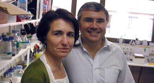 Los doctores Gloria Soldevila y Francisco Lozano