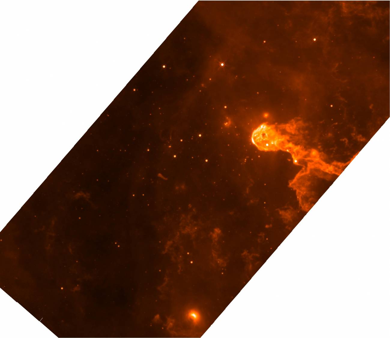Imagen del cúmulo Tr 37 en Cefeo OB2, en el infrarrojo medio (24 micras), tomada con el telescopio espacial Spitzer. Las regiones nebulosas contienen las estrellas más jóvenes de la región.