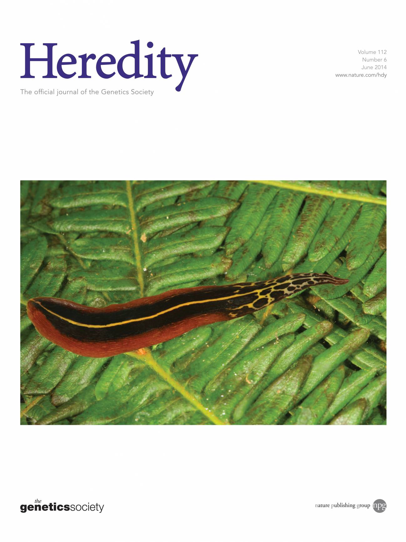El nuevo trabajo científico está publicado en portada en la revista Heredity.