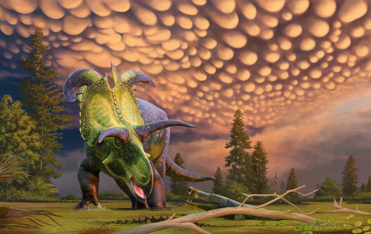 Reconstrucción de 'Lokiceratops' sorprendido por un cocodrilo