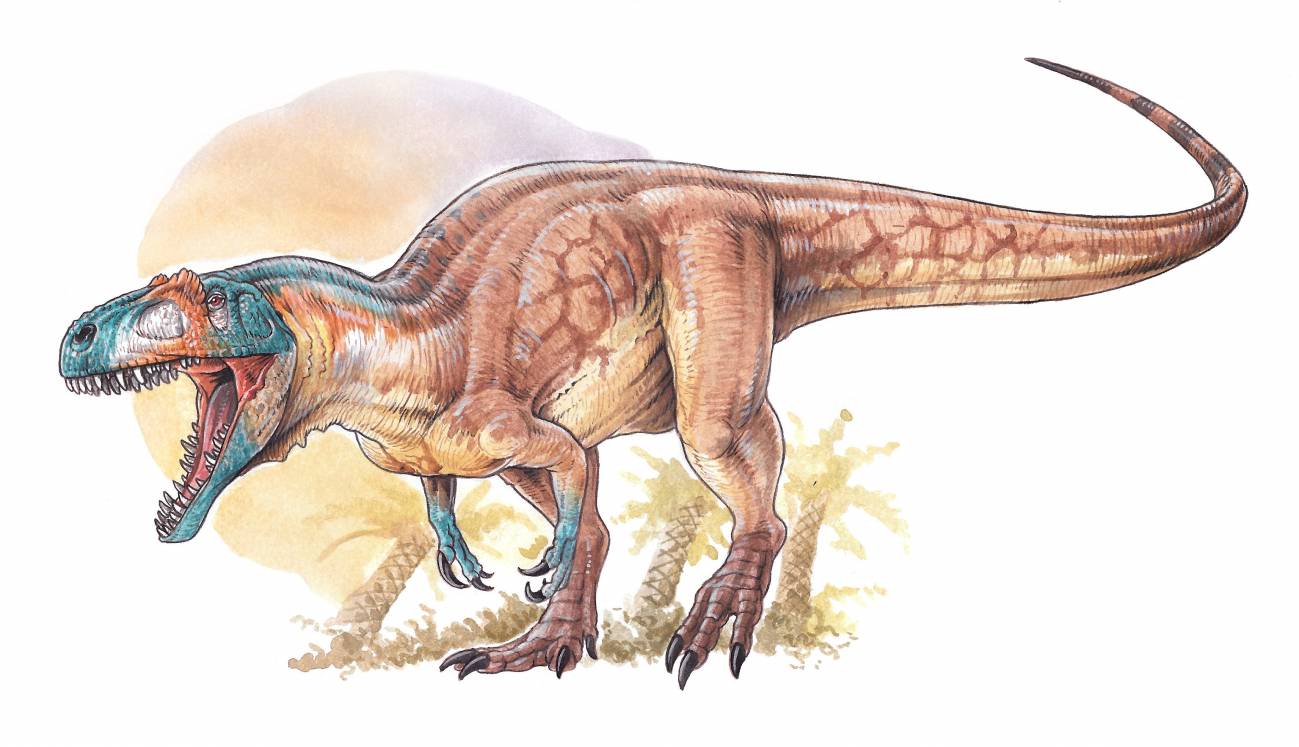 Hallan uno de los más antiguos y completos dinosaurios carnívoros del  Jurásico