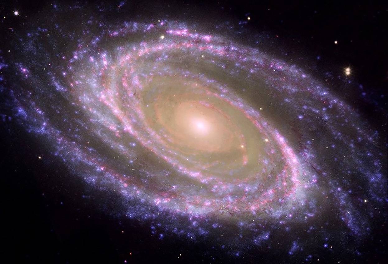 Ejemplo de galaxia espiral cercana, M81, donde se identifica el bulbo (la parte central rojiza) y el disco (