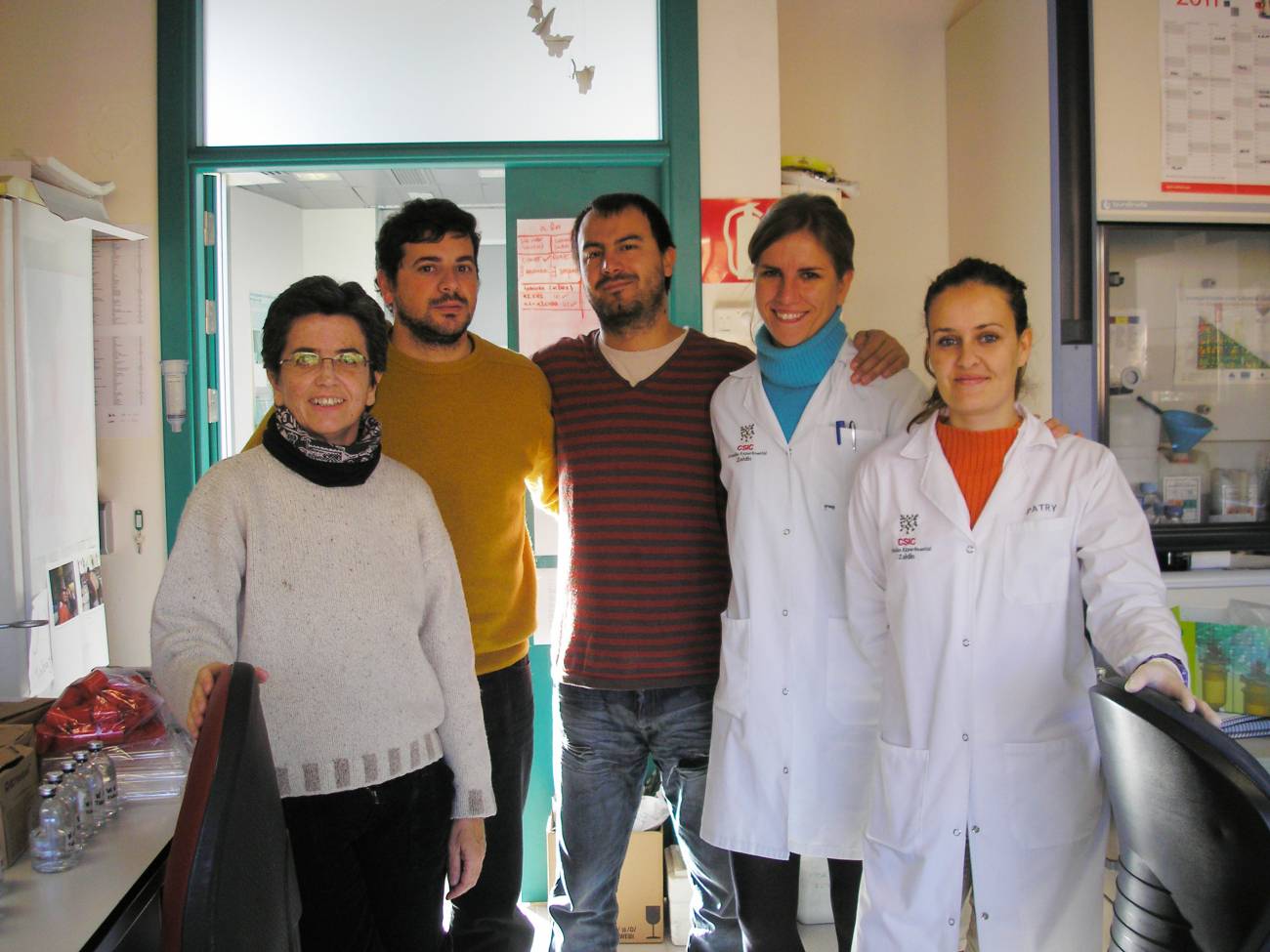 Silvia Marqués, primera por la izquierda, con su equipo de investigadores