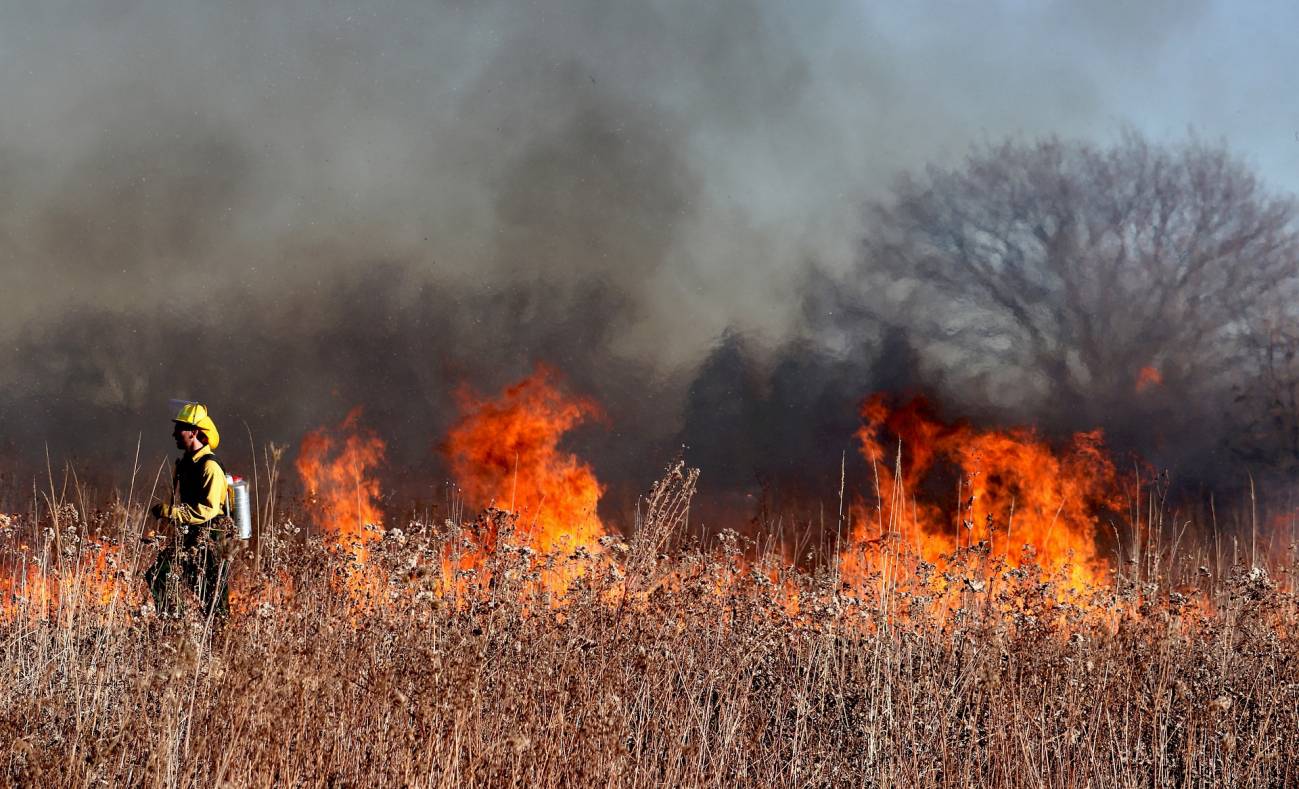 Ignición, combustible, sequía y tiempo apropiado: los ingredientes de los  grandes incendios forestales