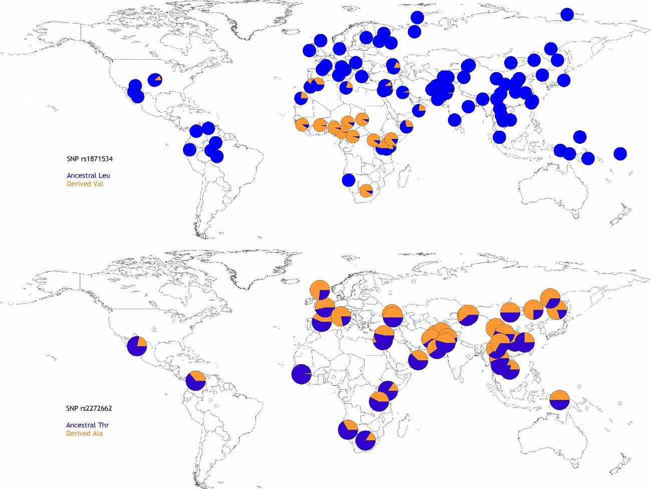 Worldwide allele frequencies for the Leu372Val (rs1871534, top) Thr357Ala (rs2272662, bottom) polymorphisms 