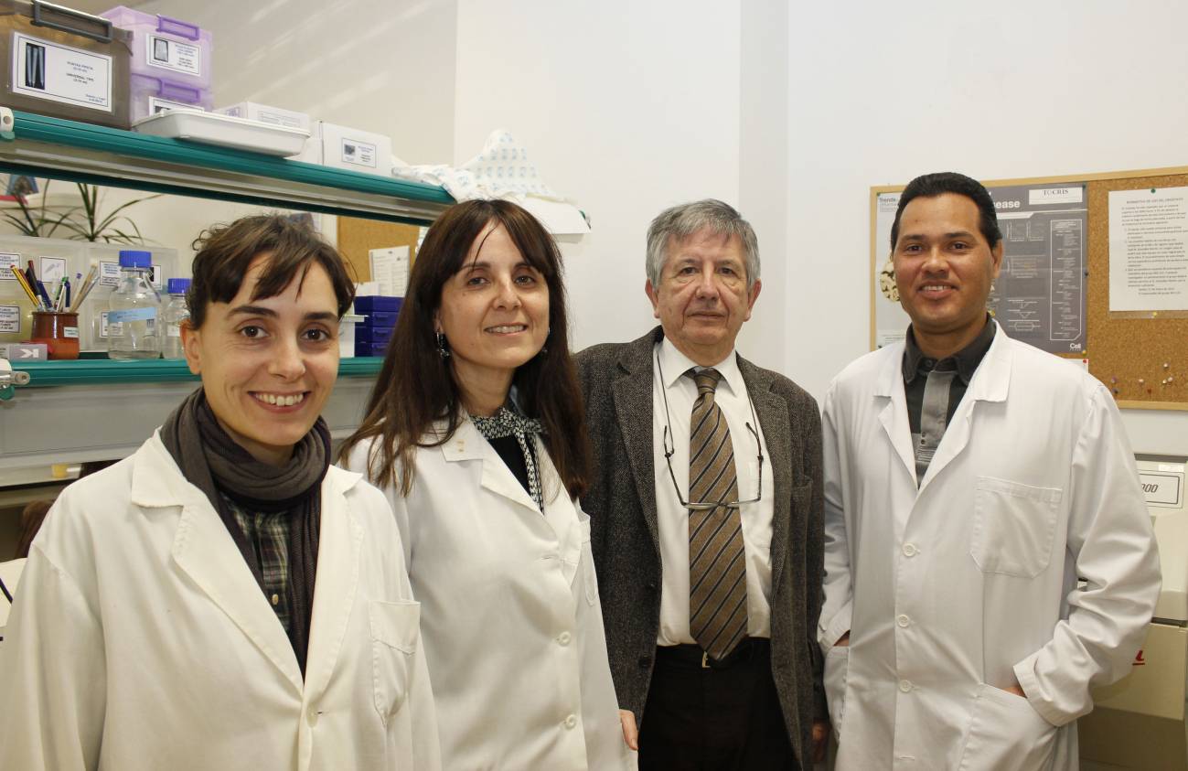 De izquierda a derecha, los investigadores de la UPO Teresa Jurado, Agnès Gruart, José María Delgado y Raudel Sánchez