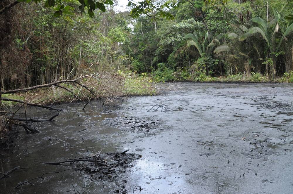 Amazonas contaminado