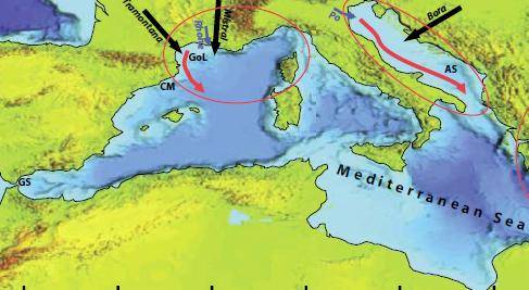 El noroeste del Mediterráneo es una de las regiones marinas de referencia en el estudio de la formación de aguas densas. 