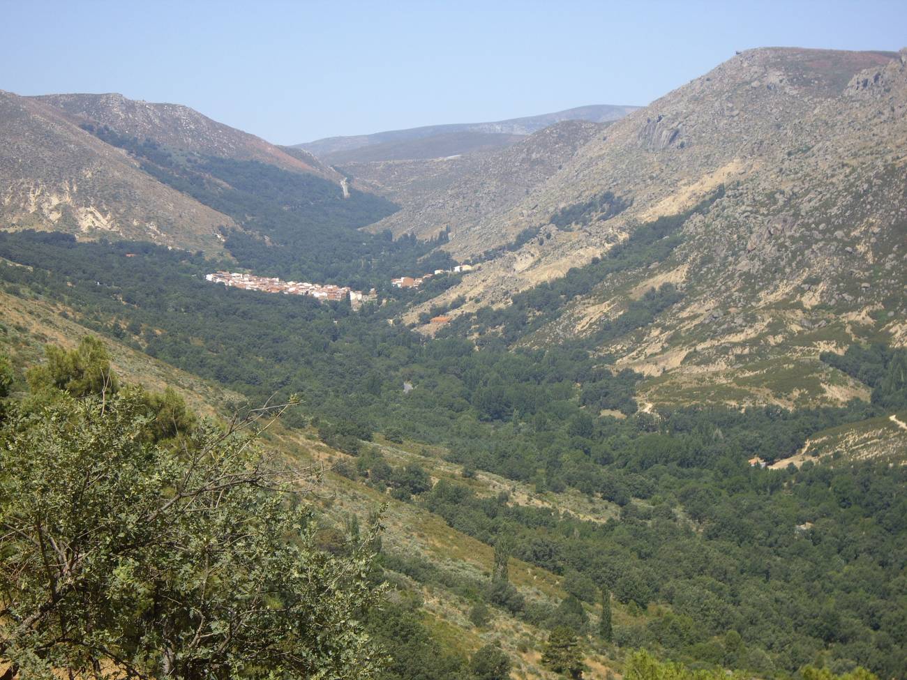 Territorio muy deforestado en la sierra de Gredos, con bosques sólo en las zonas próximas a la garganta. Al fondo el pueblo de Navalacruz. 